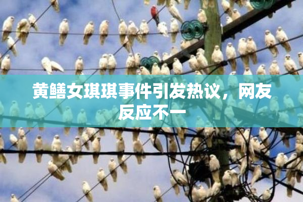 黄鳝女琪琪事件引发热议，网友反应不一