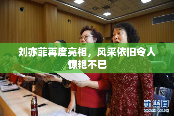 刘亦菲再度亮相，风采依旧令人惊艳不已