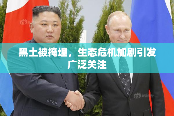 黑土被掩埋，生态危机加剧引发广泛关注