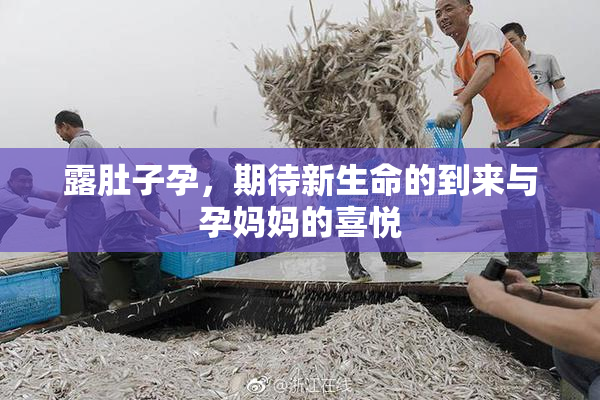露肚子孕，期待新生命的到来与孕妈妈的喜悦