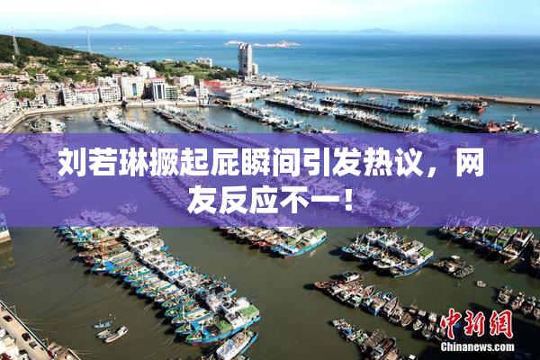 刘若琳撅起屁瞬间引发热议，网友反应不一！