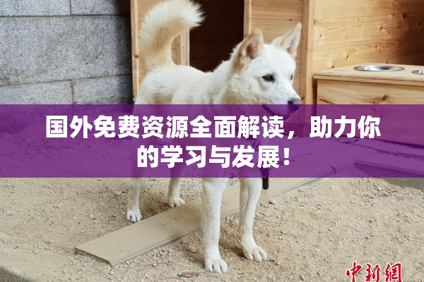 国外免费资源全面解读，助力你的学习与发展！