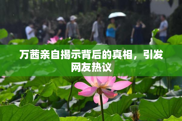 万茜亲自揭示背后的真相，引发网友热议