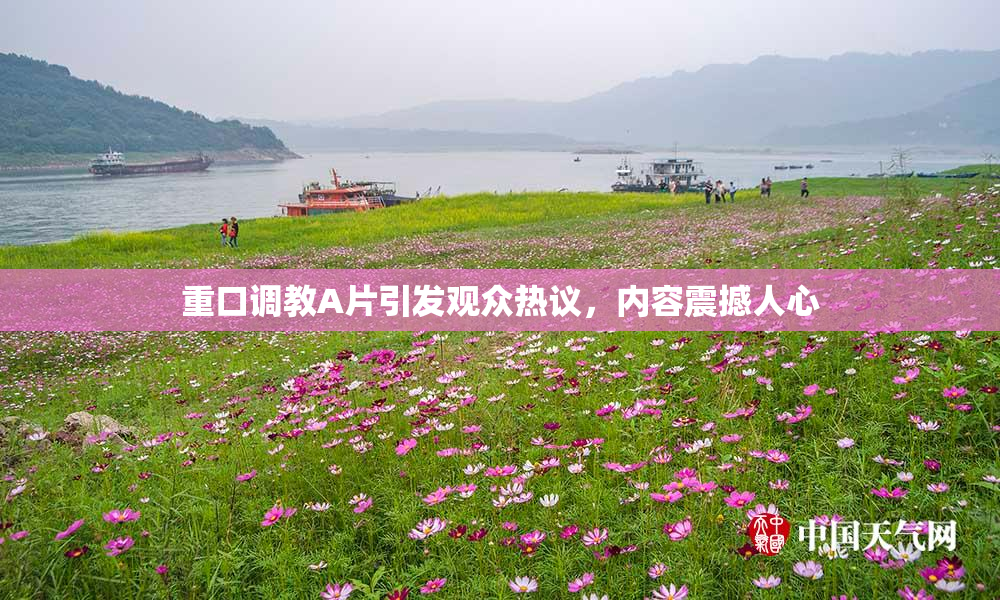 重口调教A片引发观众热议，内容震撼人心