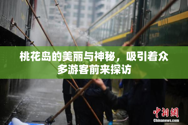 桃花岛的美丽与神秘，吸引着众多游客前来探访
