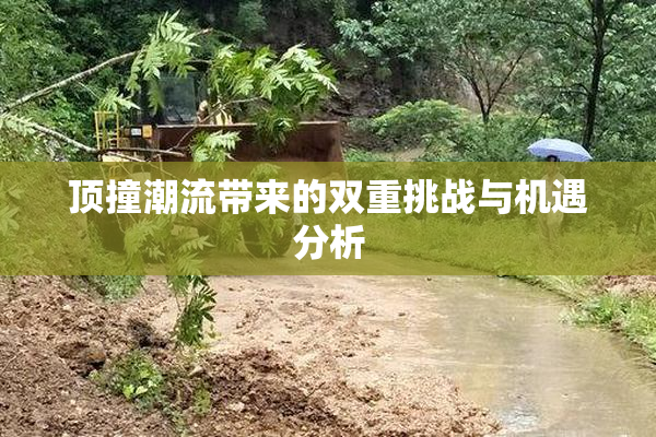 顶撞潮流带来的双重挑战与机遇分析