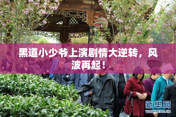 黑道小少爷上演剧情大逆转，风波再起！