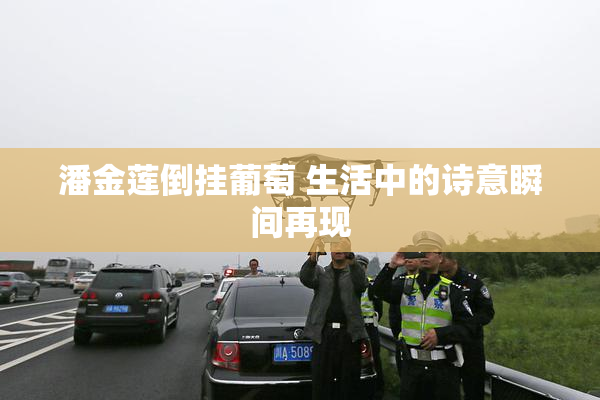 潘金莲倒挂葡萄 生活中的诗意瞬间再现