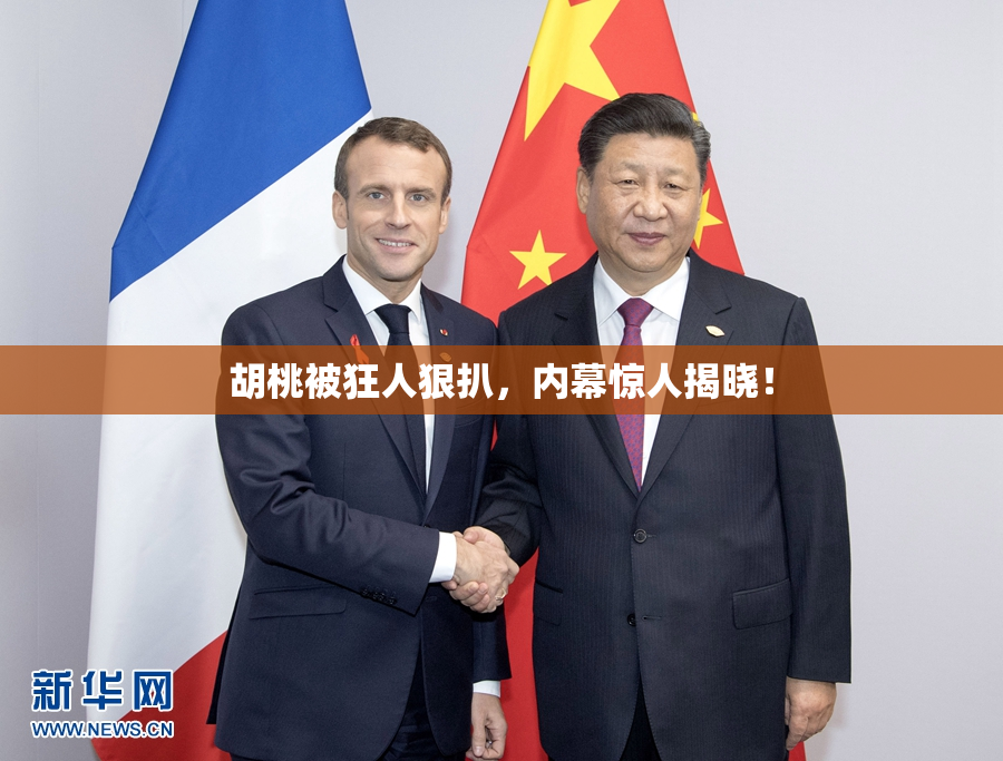 胡桃被狂人狠扒，内幕惊人揭晓！