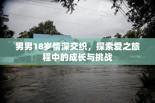 男男18岁情深交织，探索爱之旅程中的成长与挑战