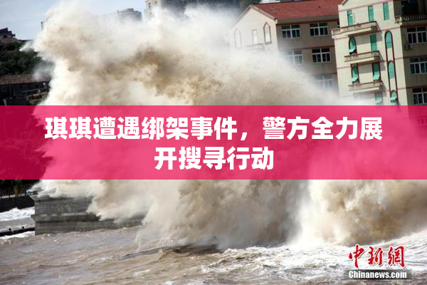 琪琪遭遇绑架事件，警方全力展开搜寻行动