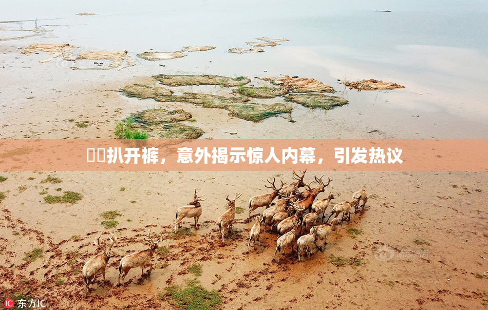 妺妺扒开裤，意外揭示惊人内幕，引发热议