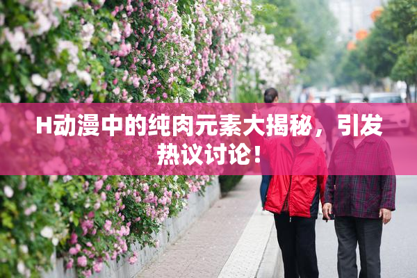 H动漫中的纯肉元素大揭秘，引发热议讨论！