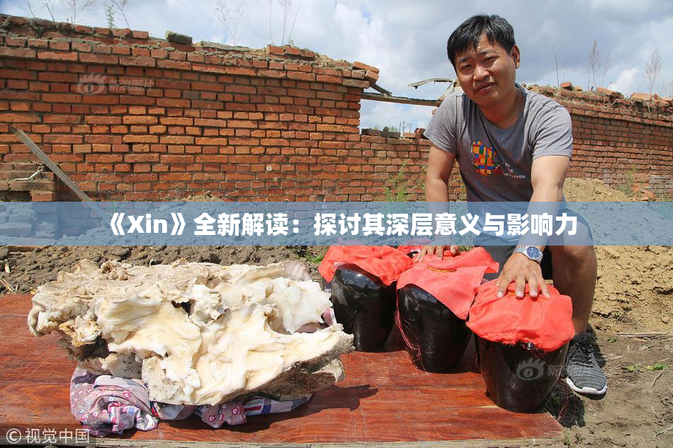 《Xin》全新解读：探讨其深层意义与影响力