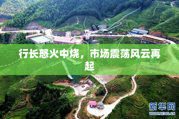 行长怒火中烧，市场震荡风云再起