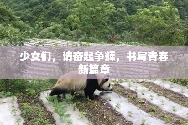 少女们，请奋起争辉，书写青春新篇章