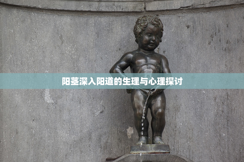 阳茎深入阳道的生理与心理探讨