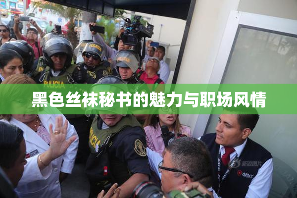 黑色丝袜秘书的魅力与职场风情