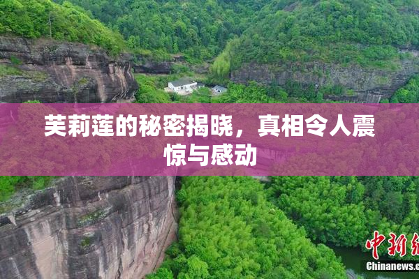 芙莉莲的秘密揭晓，真相令人震惊与感动