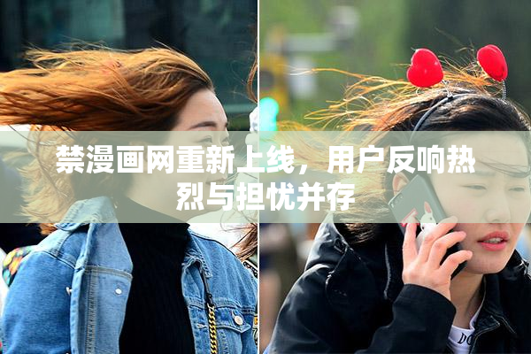 禁漫画网重新上线，用户反响热烈与担忧并存