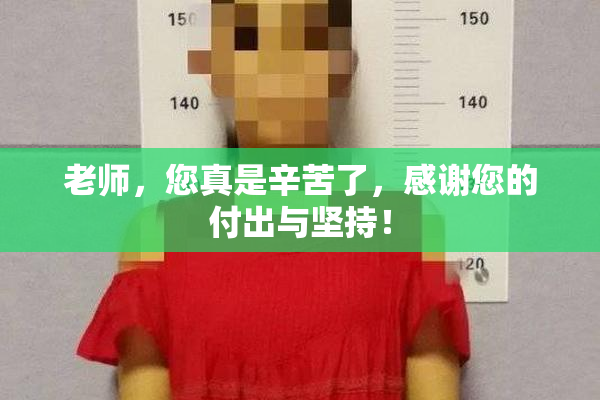 老师，您真是辛苦了，感谢您的付出与坚持！