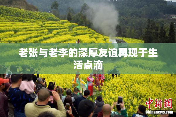 老张与老李的深厚友谊再现于生活点滴