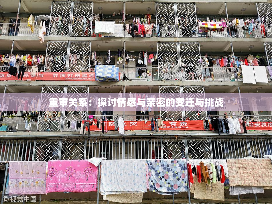 重审关系：探讨情感与亲密的变迁与挑战