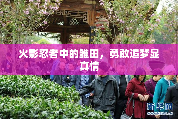 火影忍者中的雏田，勇敢追梦显真情