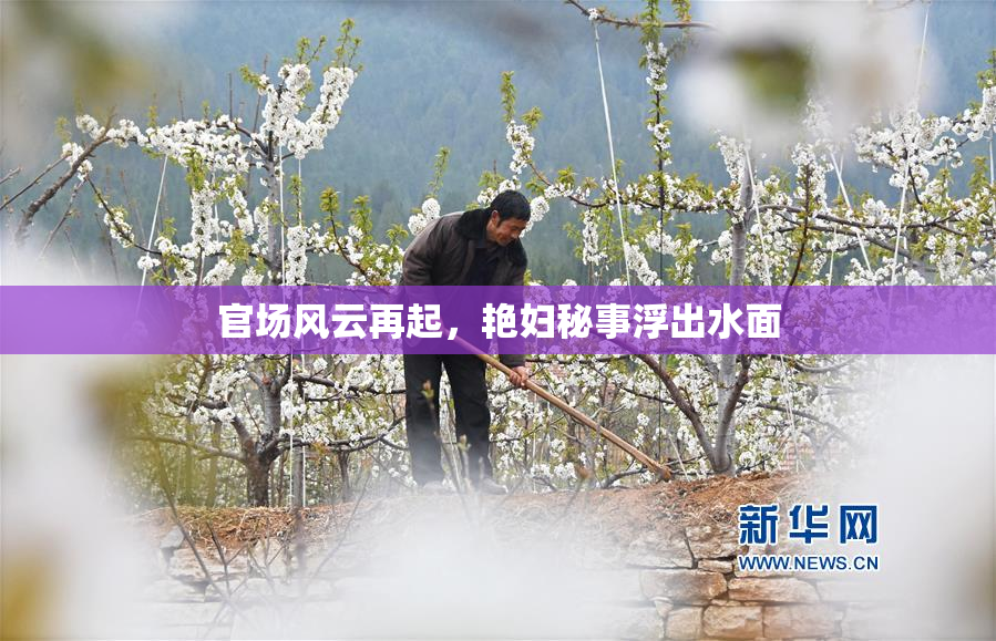 官场风云再起，艳妇秘事浮出水面