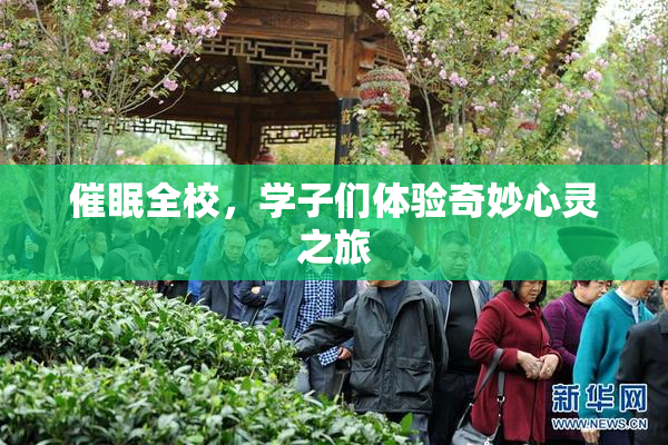 催眠全校，学子们体验奇妙心灵之旅