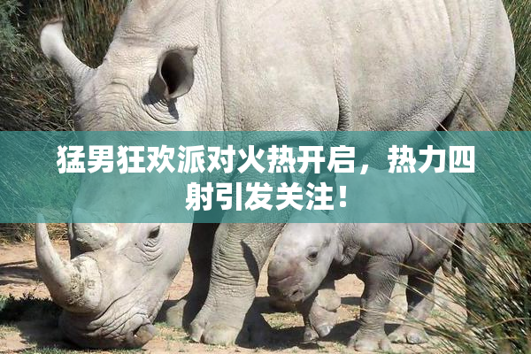 猛男狂欢派对火热开启，热力四射引发关注！