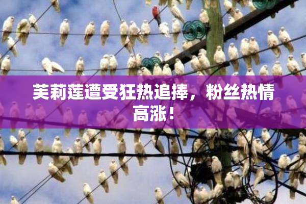 芙莉莲遭受狂热追捧，粉丝热情高涨！