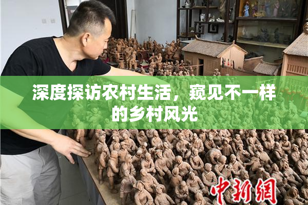 深度探访农村生活，窥见不一样的乡村风光
