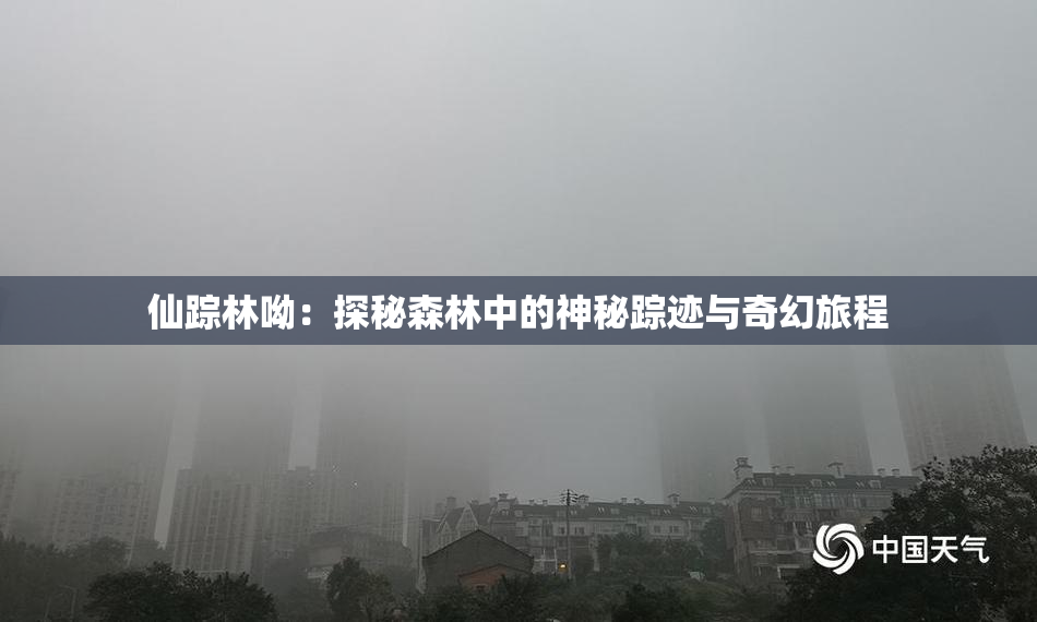 仙踪林呦：探秘森林中的神秘踪迹与奇幻旅程