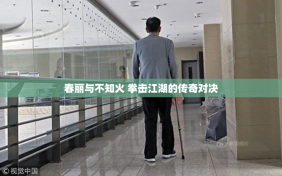 春丽与不知火 拳击江湖的传奇对决