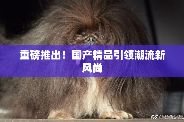 重磅推出！国产精品引领潮流新风尚