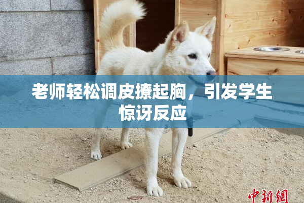 老师轻松调皮撩起胸，引发学生惊讶反应