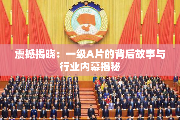 震撼揭晓：一级A片的背后故事与行业内幕揭秘