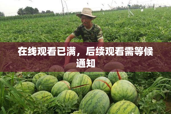 在线观看已满，后续观看需等候通知