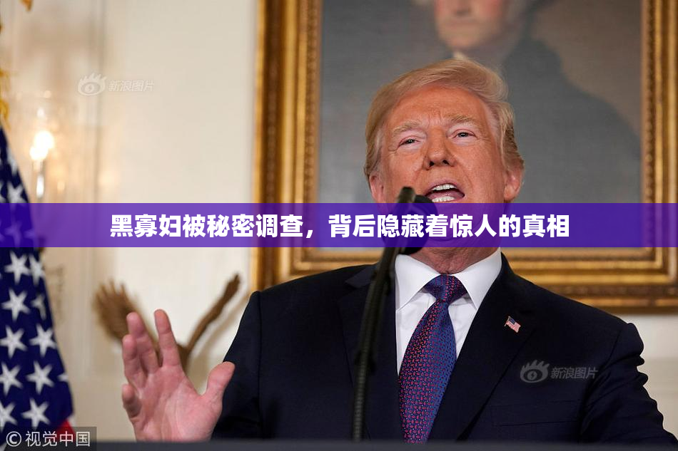 黑寡妇被秘密调查，背后隐藏着惊人的真相