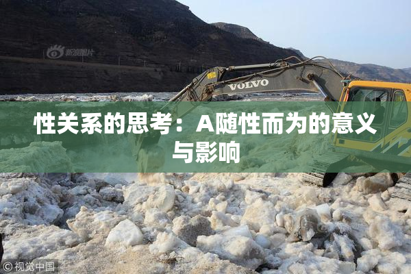 性关系的思考：A随性而为的意义与影响