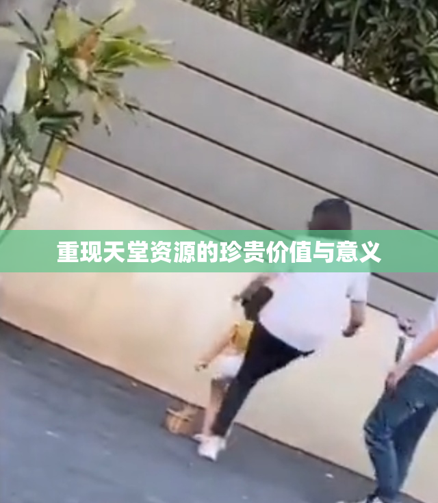 重现天堂资源的珍贵价值与意义