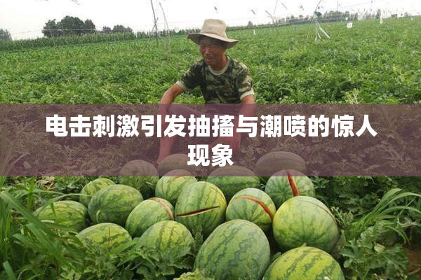 电击刺激引发抽搐与潮喷的惊人现象