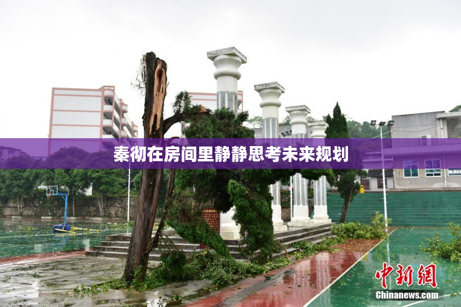秦彻在房间里静静思考未来规划