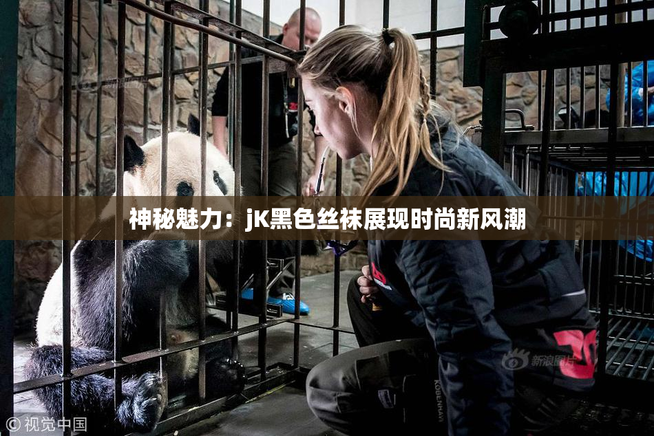 神秘魅力：jK黑色丝袜展现时尚新风潮