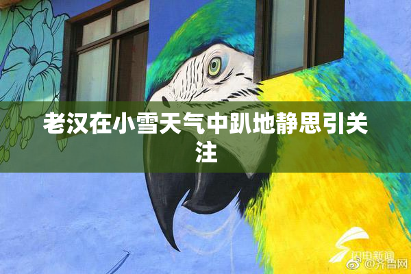 老汉在小雪天气中趴地静思引关注
