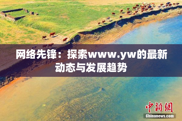 网络先锋：探索www.yw的最新动态与发展趋势