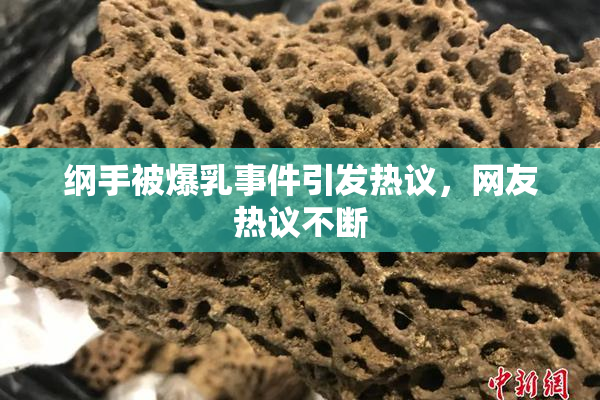 纲手被爆乳事件引发热议，网友热议不断