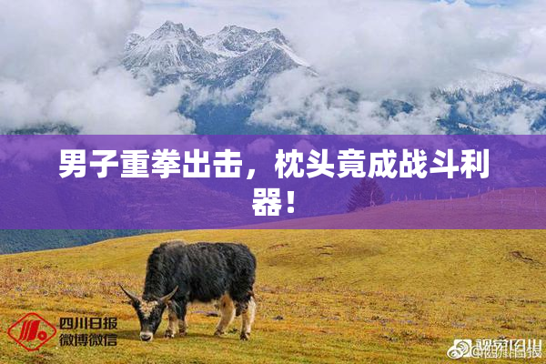 男子重拳出击，枕头竟成战斗利器！
