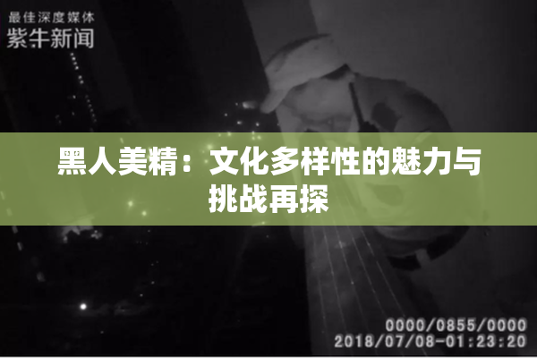 黑人美精：文化多样性的魅力与挑战再探
